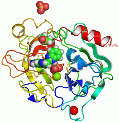 Image Asym./Biol. Unit - manually