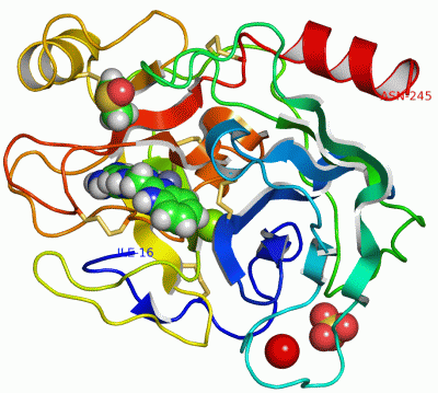 Image Asym./Biol. Unit - manually