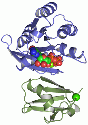 Image Asym./Biol. Unit - manually