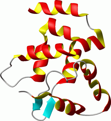 Image NMR Structure - manually