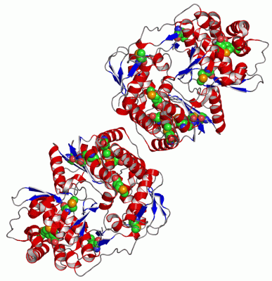 Image Asym./Biol. Unit - manually