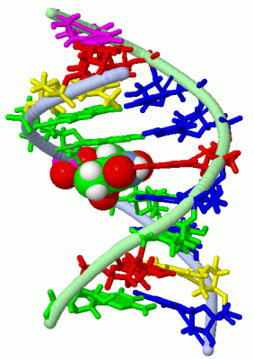 Image NMR Structure - manually