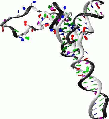 Image Asym./Biol. Unit - manually