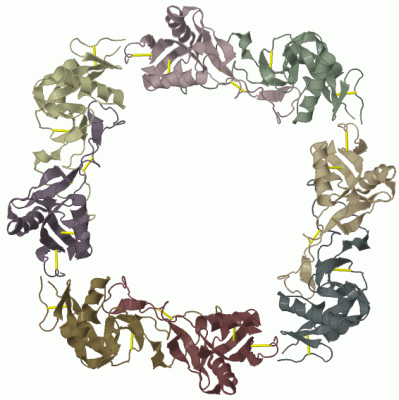 Image Biol.Unit 1 - manually