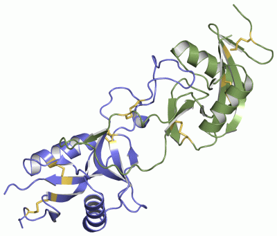 Image Asym.Unit - manually