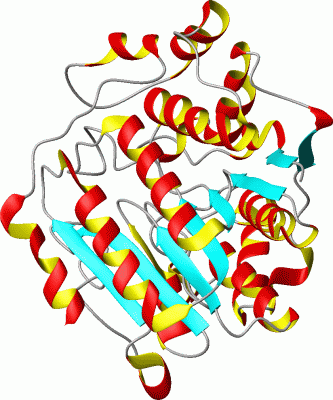 Image Asym./Biol. Unit - manually