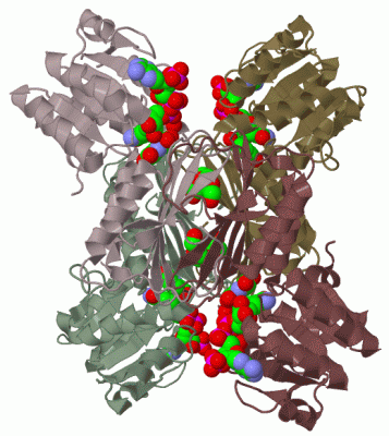 Image Biol.Unit 1 - manually