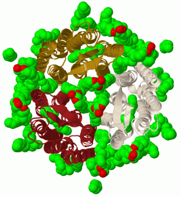 Image Biol.Unit 1 - manually