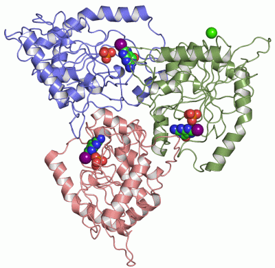Image Asym./Biol. Unit - manually