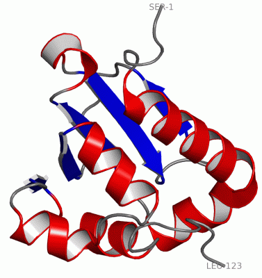 Image Asym./Biol. Unit - manually