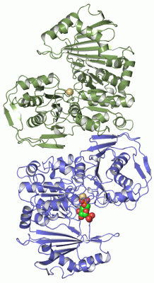 Image Asym./Biol. Unit - manually