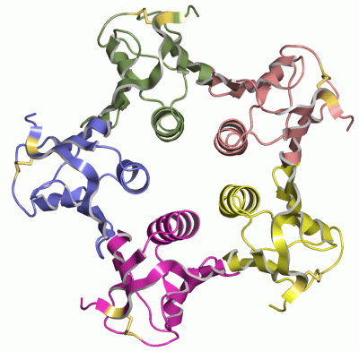 Image Asym./Biol. Unit - manually