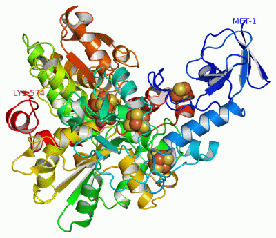 Image Asym./Biol. Unit - manually