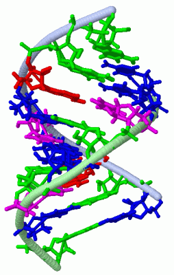 Image NMR Structure - manually