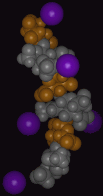Image Asym.Unit - manually