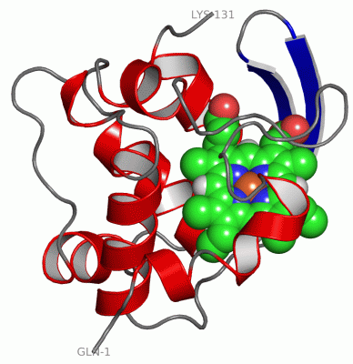 Image Asym./Biol. Unit - manually