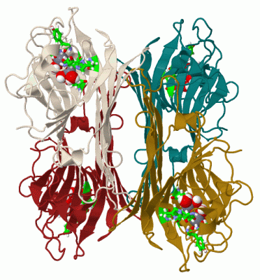 Image Biol.Unit 1 - manually