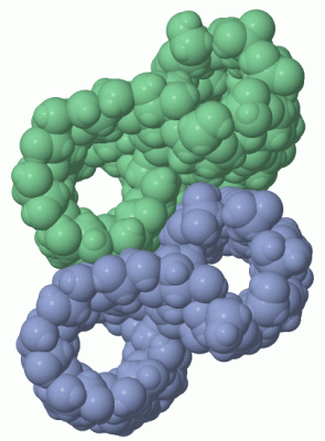 Image Asym./Biol. Unit - manually