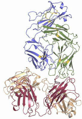 Image Asym.Unit - manually
