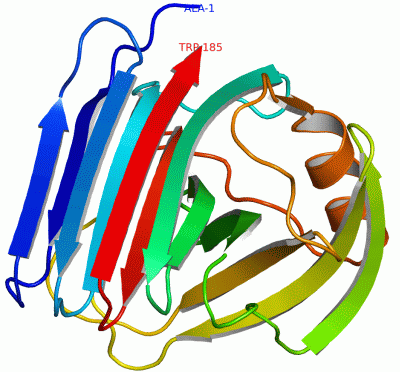 Image Asym./Biol. Unit - manually