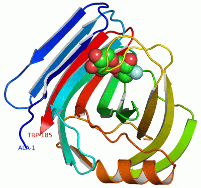 Image Asym./Biol. Unit - manually