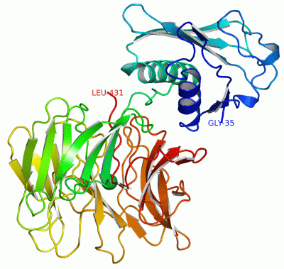 Image Asym./Biol. Unit - manually