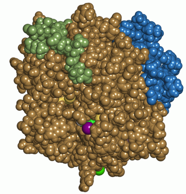 Image Asym./Biol. Unit - manually