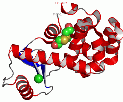 Image Asym./Biol. Unit - manually