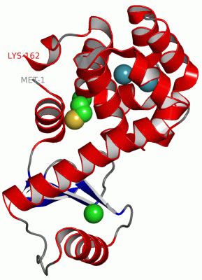 Image Asym./Biol. Unit - manually