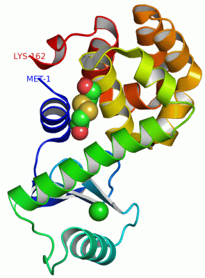Image Asym./Biol. Unit - manually