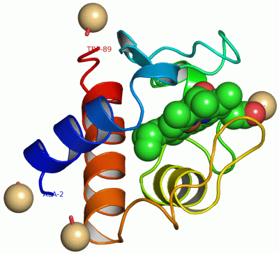 Image Asym./Biol. Unit - manually