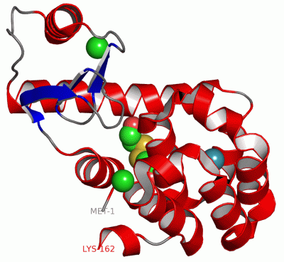 Image Asym./Biol. Unit - manually