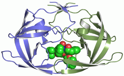 Image Asym./Biol. Unit - manually