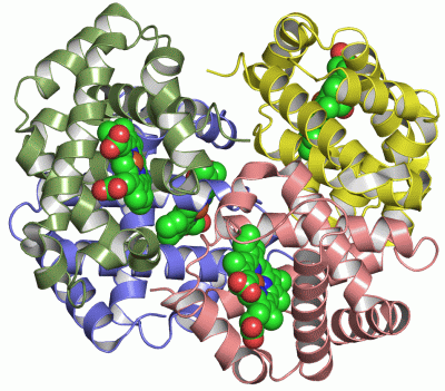 Image Asym./Biol. Unit - manually