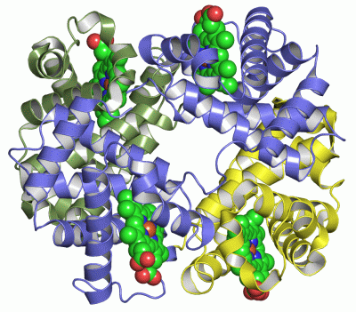 Image Asym./Biol. Unit - manually