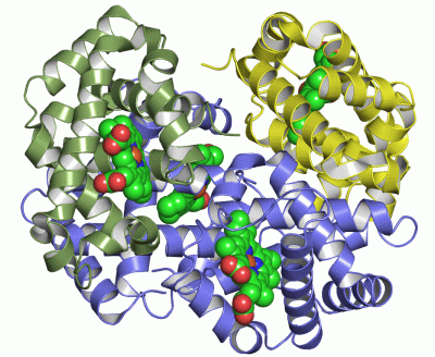 Image Asym./Biol. Unit - manually