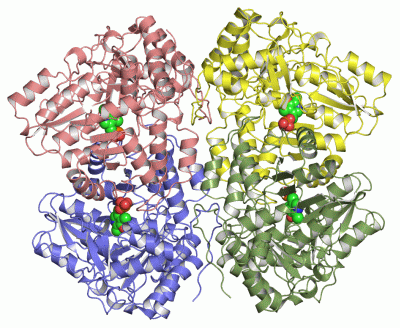 Image Asym./Biol. Unit - manually