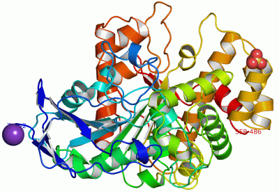 Image Asym./Biol. Unit - manually