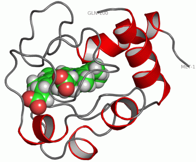 Image NMR Structure - manually