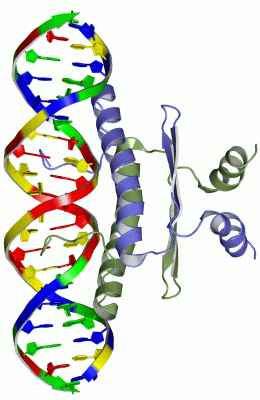 Image NMR Structure - manually