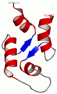 Image NMR Structure - manually