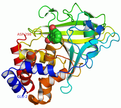 Image Asym./Biol. Unit - manually