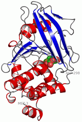 Image Asym./Biol. Unit - manually