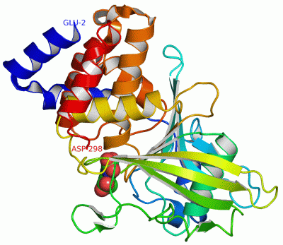 Image Asym./Biol. Unit - manually