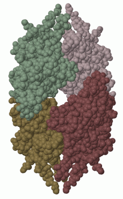 Image Biol.Unit 1 - manually