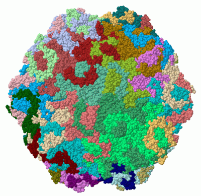 Image Biol.Unit 1 - manually