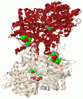 Image Biol.Unit 1 - manually