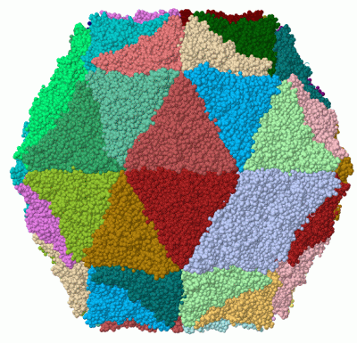 Image Biol.Unit 1 - manually