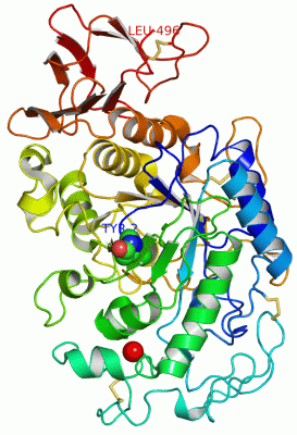 Image Asym./Biol. Unit - manually