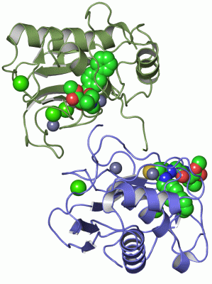 Image Asym./Biol. Unit - manually